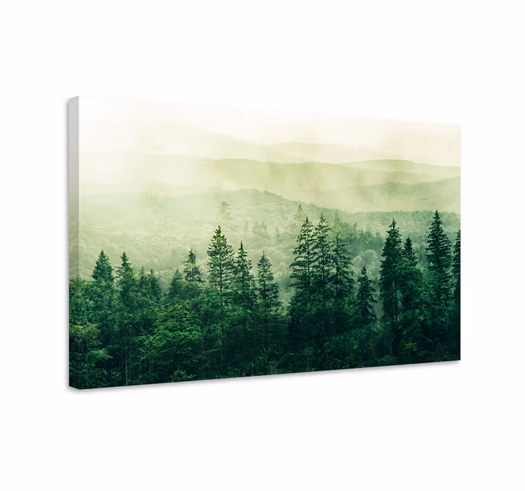 Quadro paesaggio cime degli alberi in collina verde - TenStickers