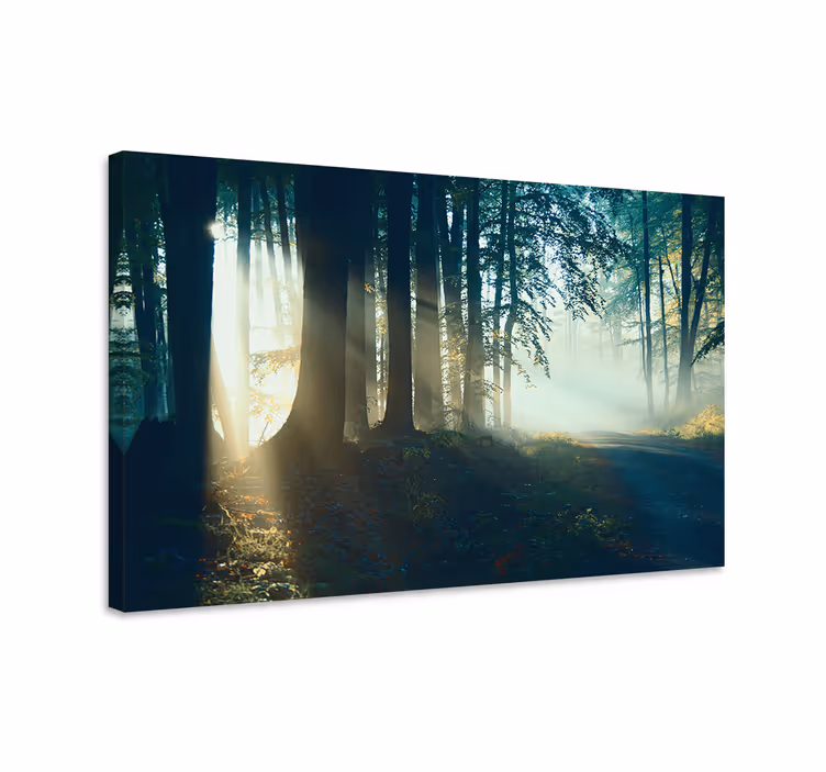 Quadro paesaggio sentiero boschivo nebbioso - TenStickers