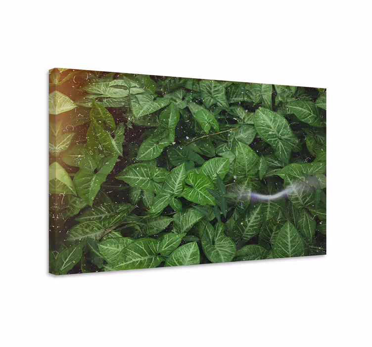 Dipinto fiori e piante foglie verdi vibranti - TenStickers