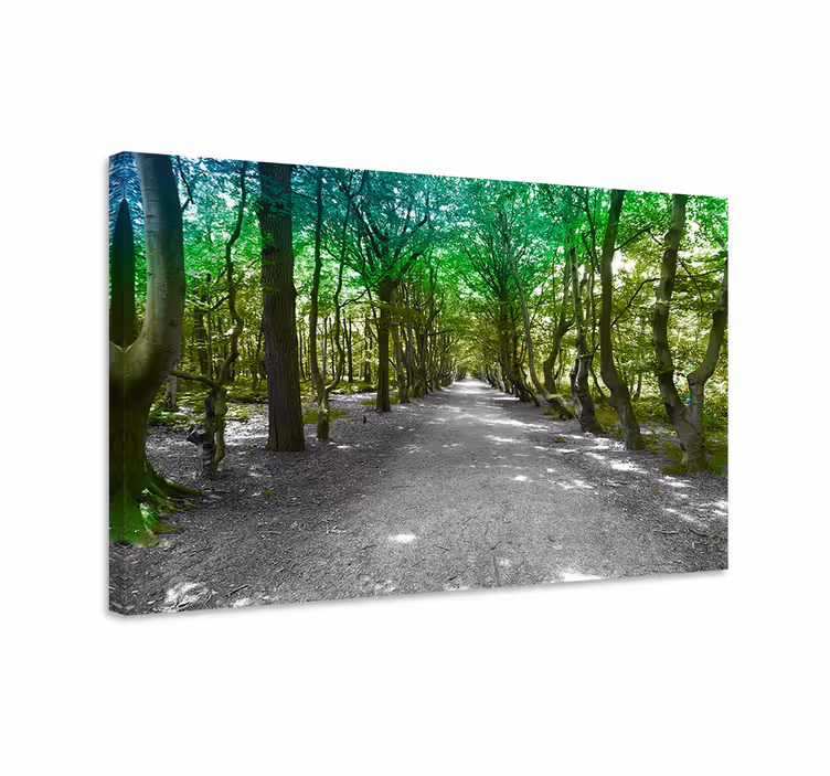 Quadro con alberi sentiero verdeggiante nel bosco - TenStickers