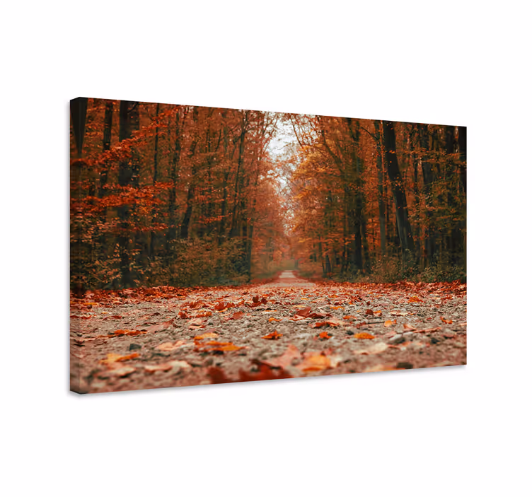 Quadro paesaggio sentiero autunnale - TenStickers