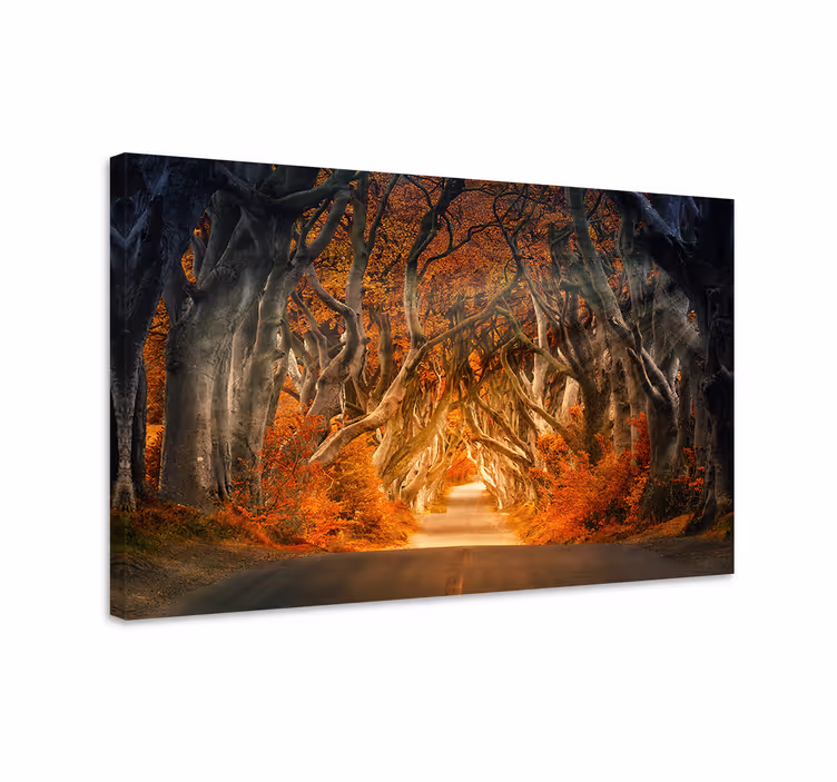 Quadro paesaggio sentiero autunnale misterioso - TenStickers