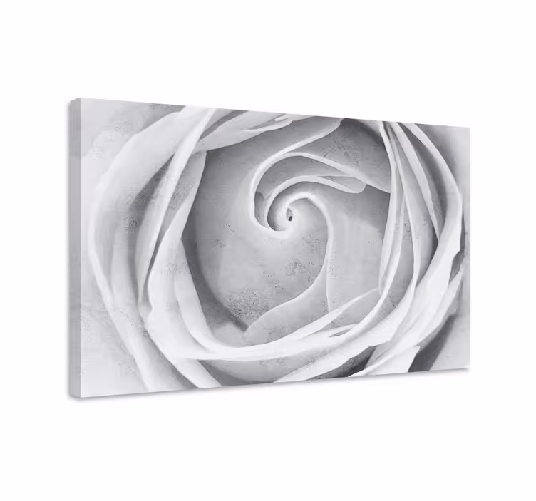 Dipinto fiori e piante spirale di rose eleganti - TenStickers