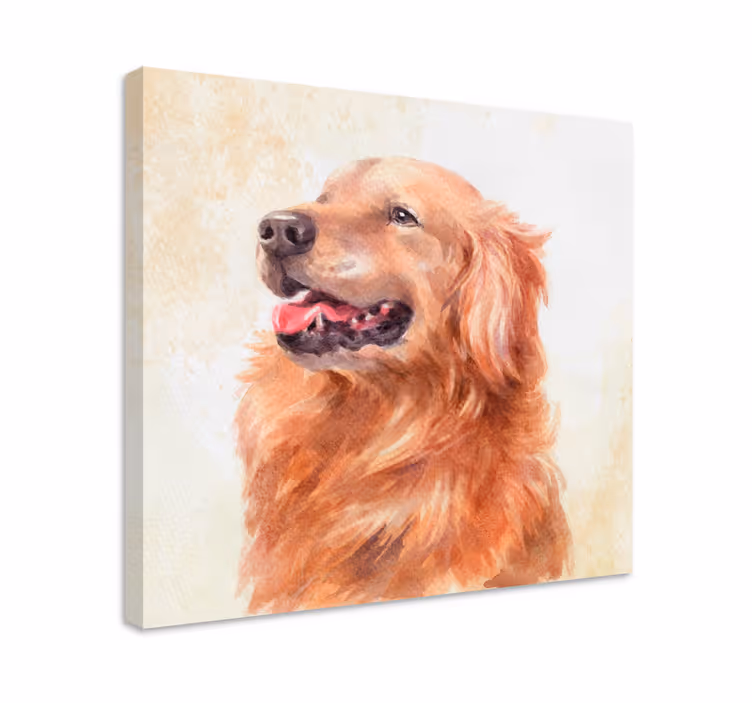 Dipinto cane illustrazione golden retriever - TenStickers