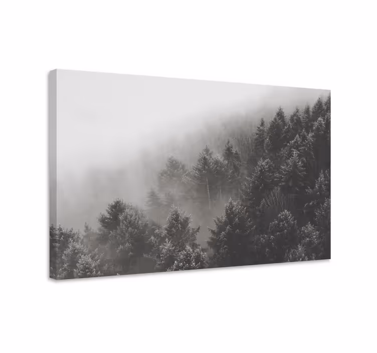 Quadro 3D Bosco di pini bianchi - TenStickers