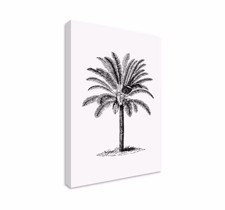 Quadro con disegno di palma - TenStickers