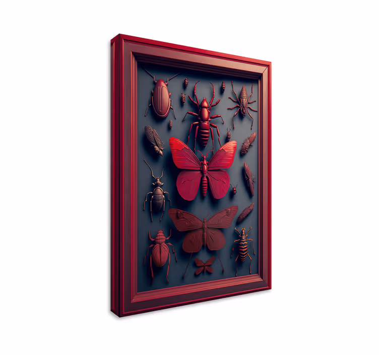 Quadro salone collezione insetti incorniciati - TenStickers