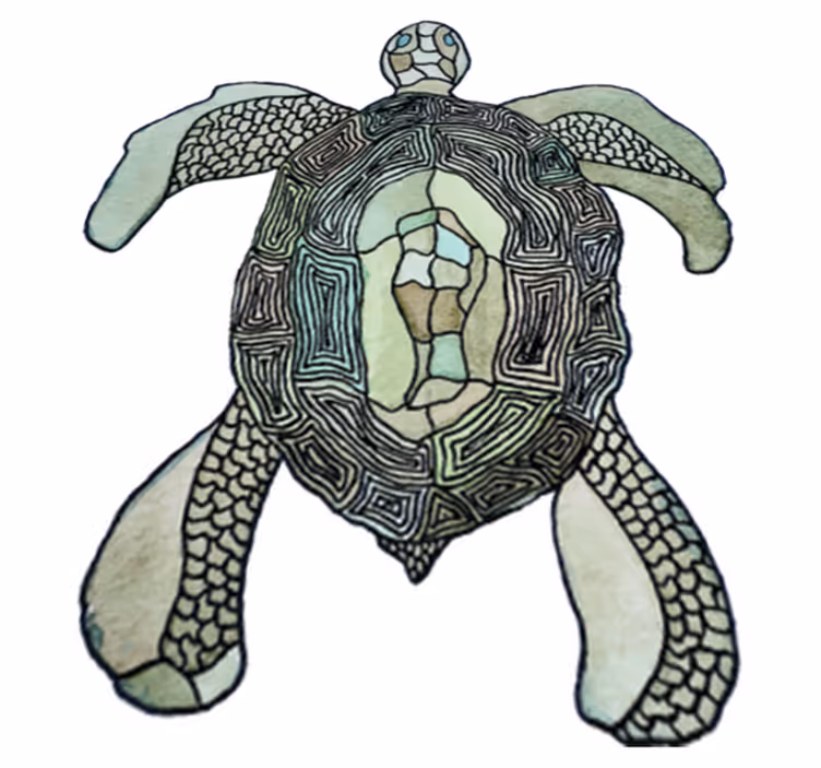 Tappeto vinile animali tartaruga classica - TenStickers