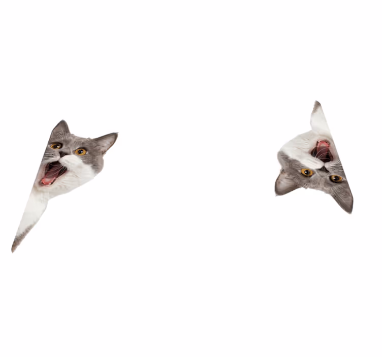 Tappeto vinile animali gatto che spia su sfondo bianco - TenStickers