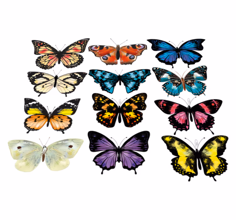 Tappeto vinile animali illustrazione farfalla - TenStickers