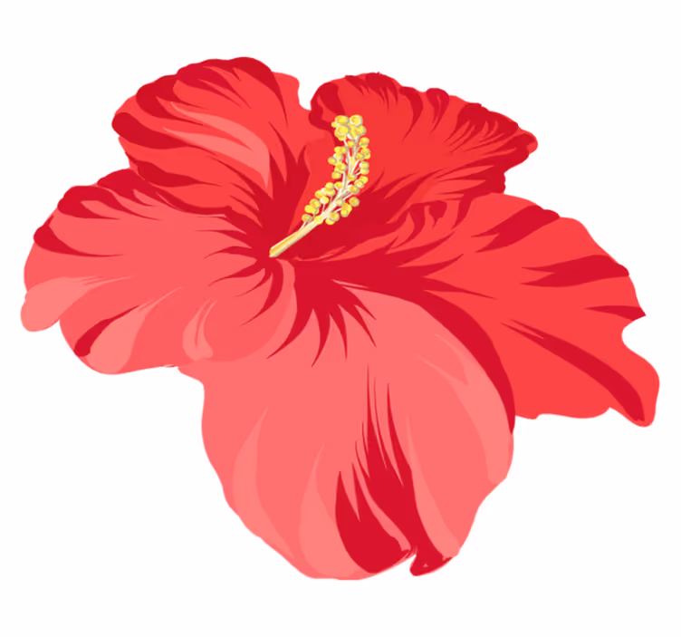 Tappeto vinile fiori kit fiori di ibisco rosso - TenStickers