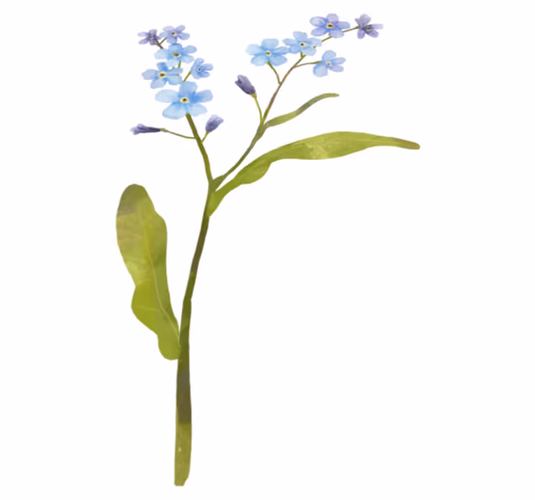 Tappeto vinile fiori pianta blu elegante - TenStickers