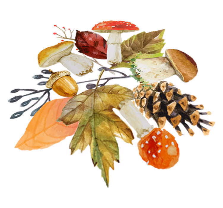 Tappeto vinile natura foglie e frutti di bosco - TenStickers