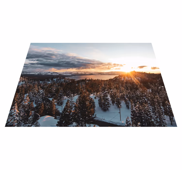 Tappeto vinile natura paesaggio foresta lussureggiante - TenStickers