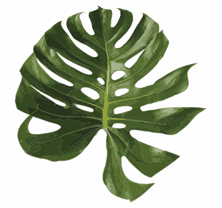Tappeto vinile fiori foglia di monstera deliziosa - TenStickers