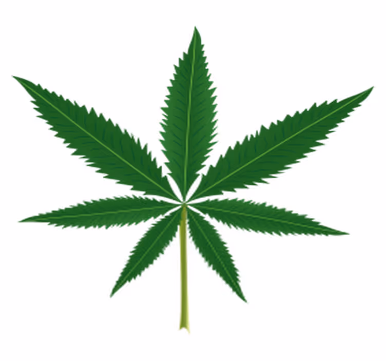 Tappeto vinile fiori foglia di marijuana - TenStickers
