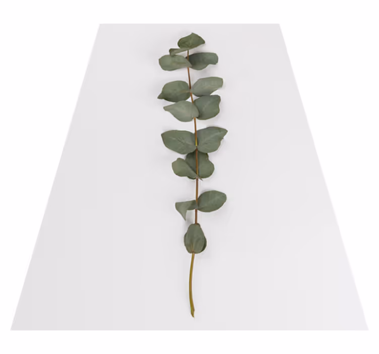 Tappeto vinile fiori e foglie di eucalipto - TenStickers
