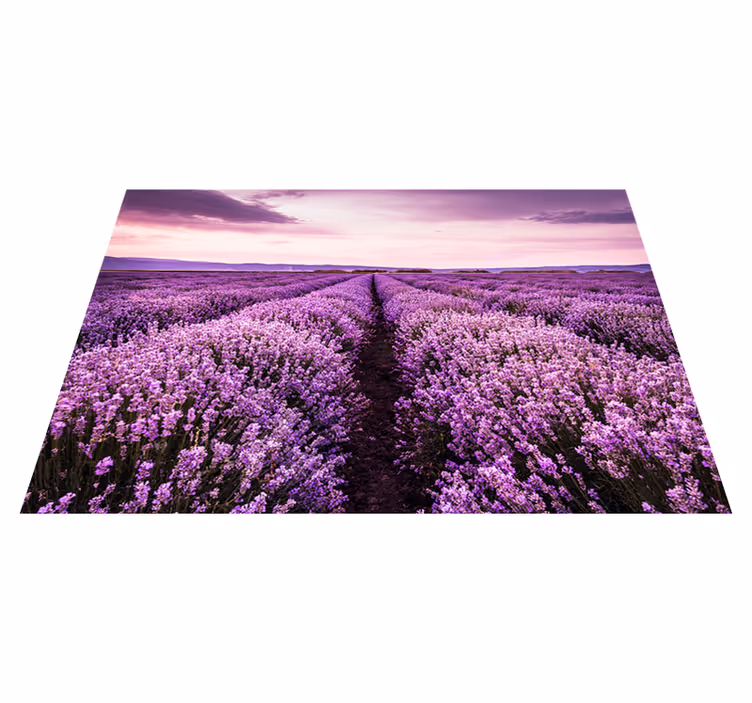 Tappeto vinile viola fotomurale fiori lavanda - TenStickers