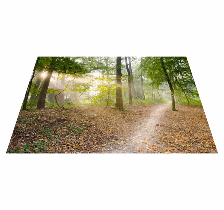 Tappeto vinile verde sentiero nel bosco sereno - TenStickers