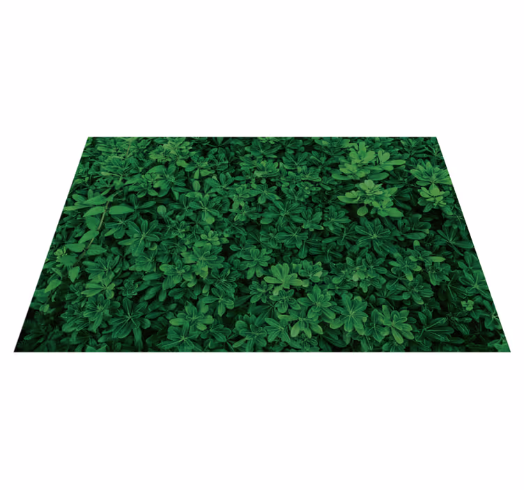 Tappeto vinile fiori modello di trifoglio botanico - TenStickers