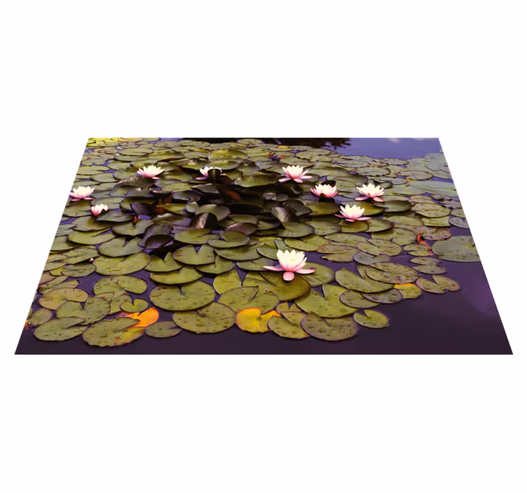 Tappeto vinile fiori bellezza dello stagno delle ninfee - TenStickers