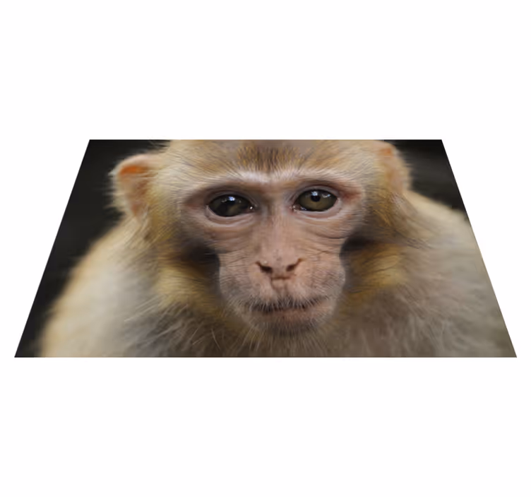 Tappeto vinile animali faccia di scimmia - TenStickers