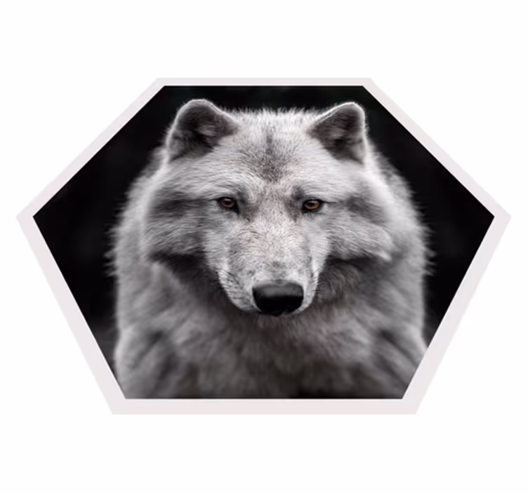 Tappeto vinile animali ritratto di lupo - TenStickers