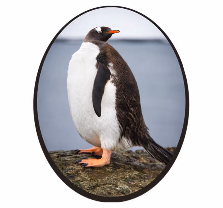 Tappeto vinile animali posizione del pinguino - TenStickers