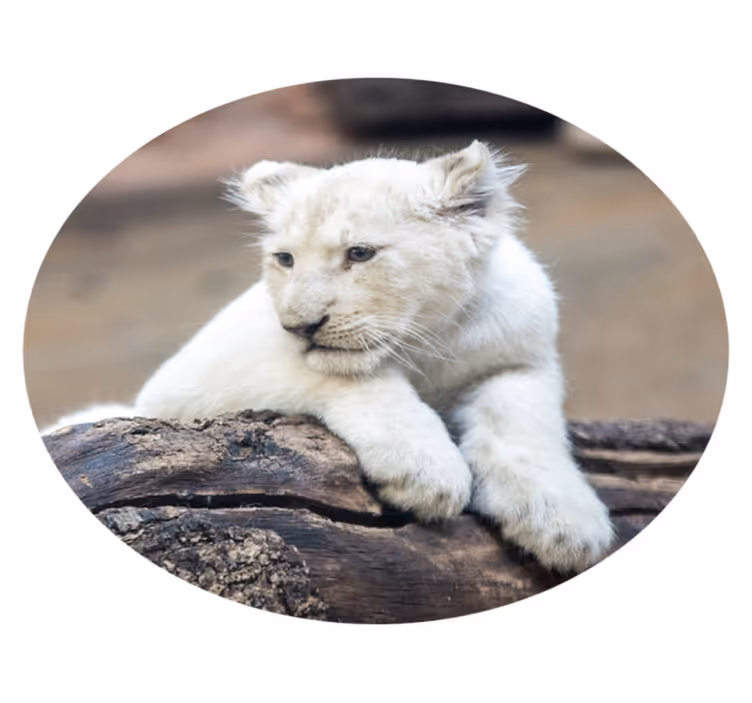 Tappeto vinile animali cucciolo di leone bianco - TenStickers