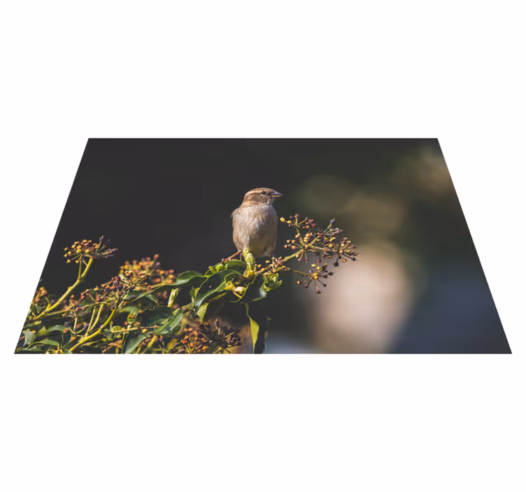 Tappeto vinile natura grazioso uccello appollaiato - TenStickers