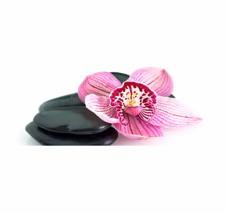Tappeto vinile fiori orchidea e pietre - TenStickers