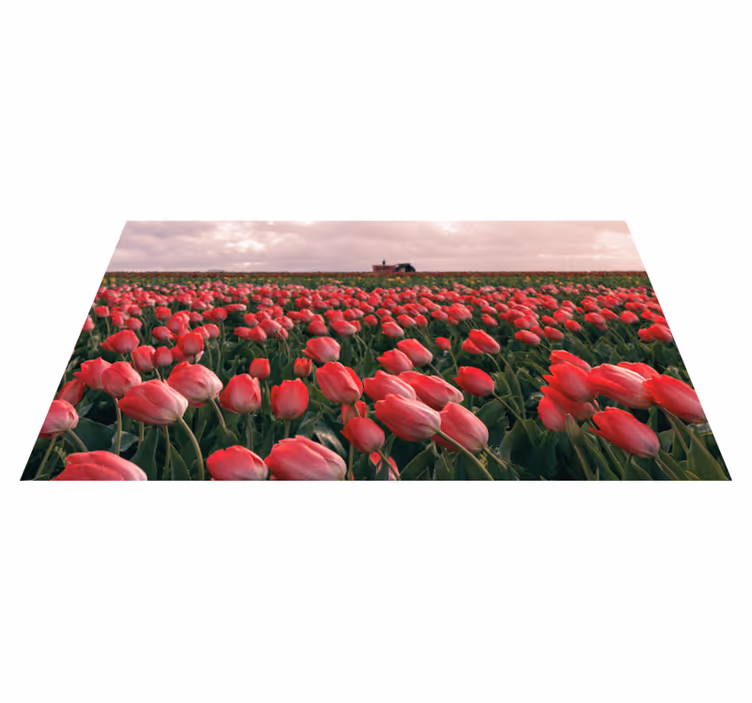 Tappeto vinile natura campo di tulipani vibrante - TenStickers
