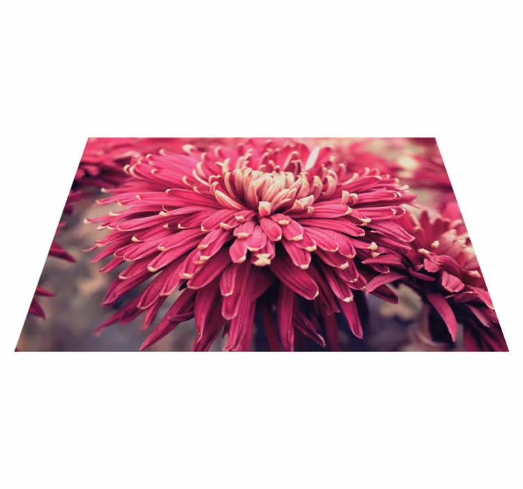 Tappeto vinile fiori crisantemo realistico - TenStickers