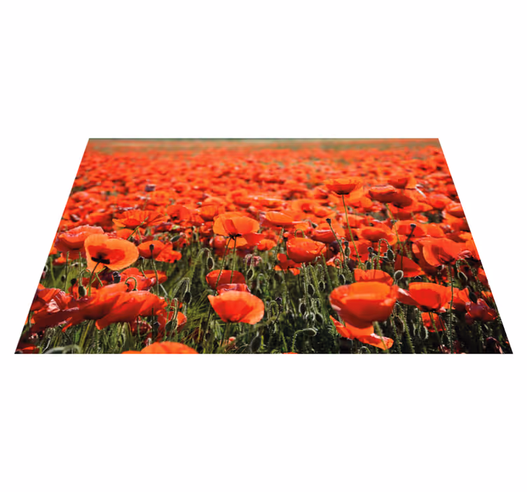 Tappeto vinile fiori papaveri rossi vivaci - TenStickers