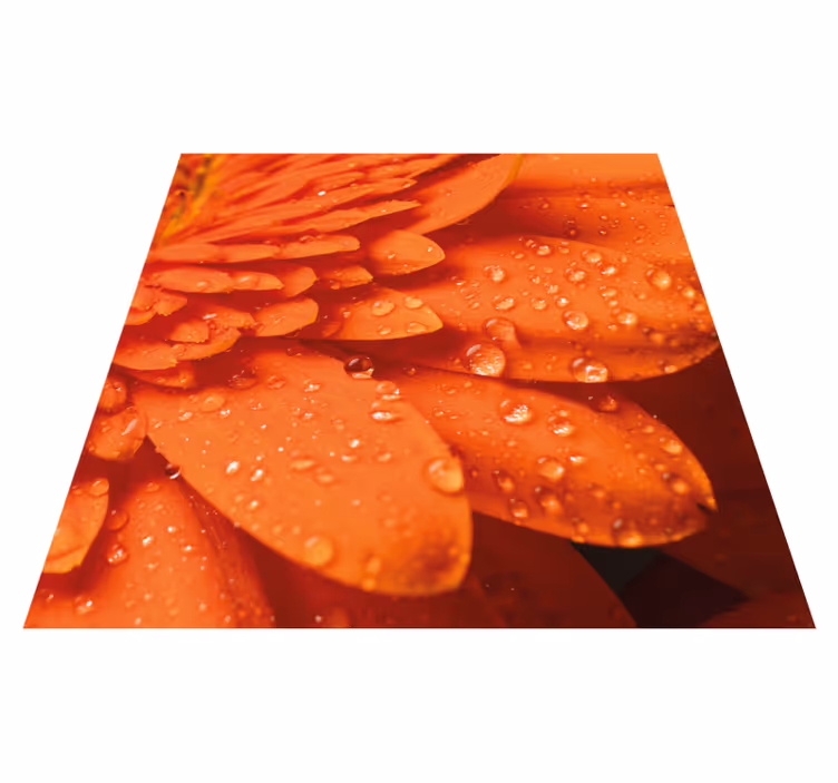 Tappeto vinile fiori petali arancioni brillanti - TenStickers