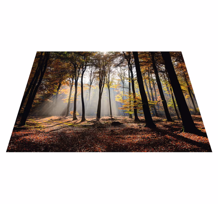 Tappeto vinile natura tranquillità della foresta - TenStickers