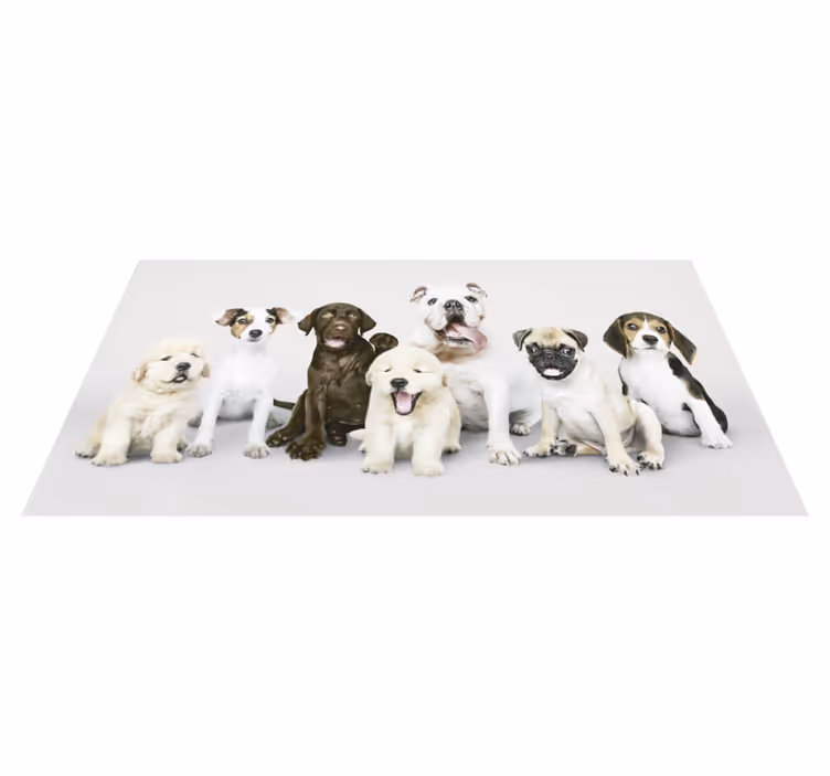 Tappeto vinile animali fotografia cane cuccioli - TenStickers