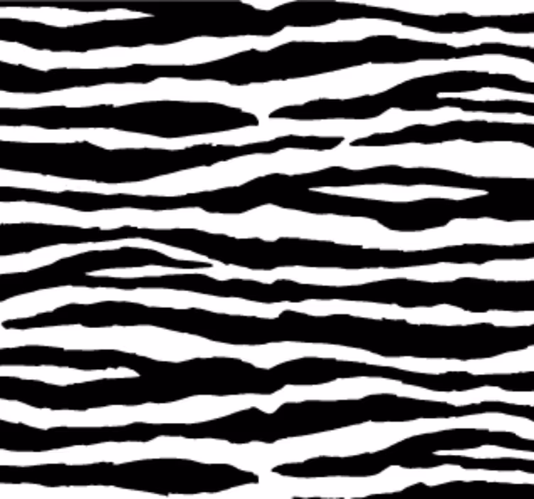 Carta da parati animali strisce di zebra - TenStickers