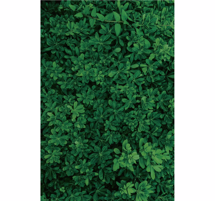 Carta da parati natura verde profondo - TenStickers