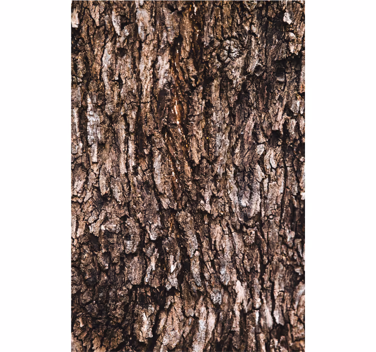 Carta da parati texture superficie corteccia - TenStickers