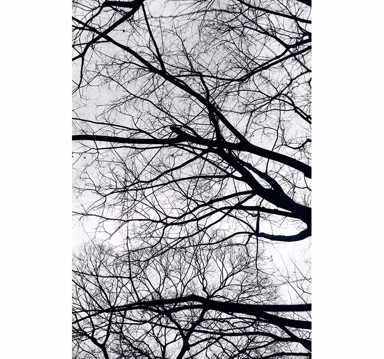 Carta da parati alberi bianco e grigio - TenStickers