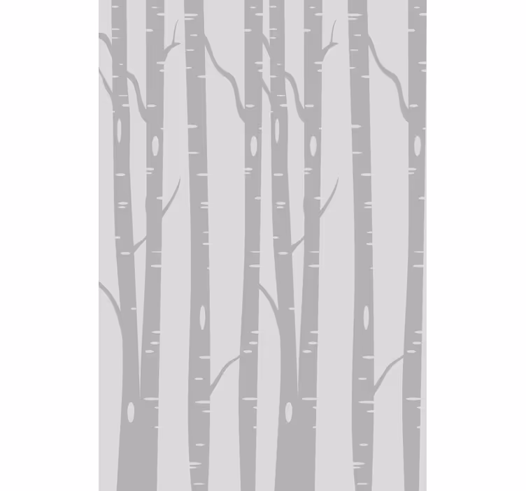 Carta da parati alberi foresta di betulle alte - TenStickers