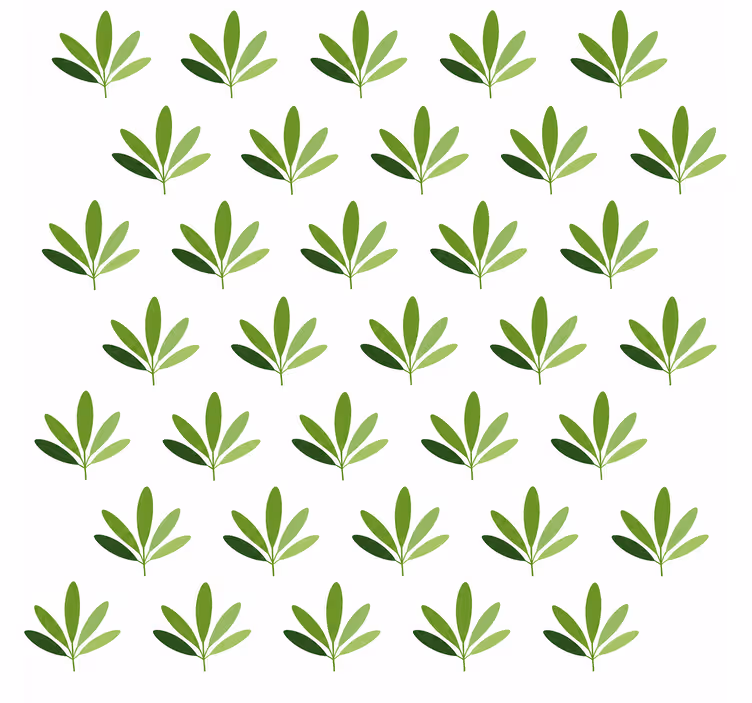 Carta da parati foglie palma dolce - TenStickers