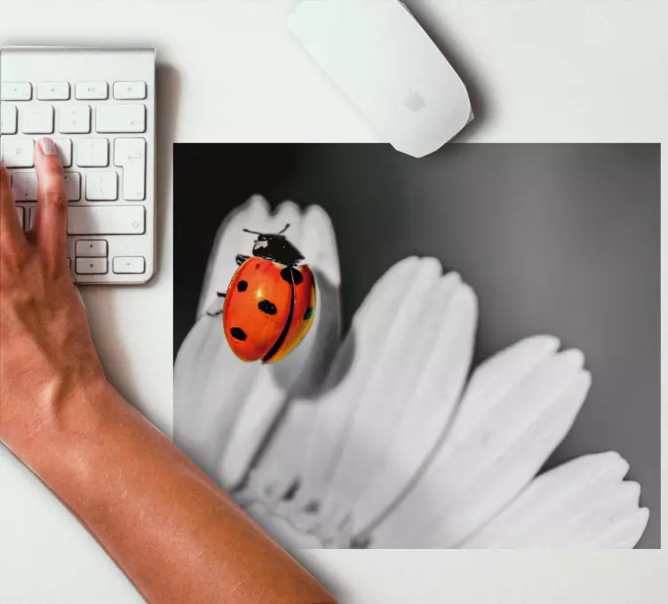 Tappetino mouse originale coccinella su fiore - TenStickers