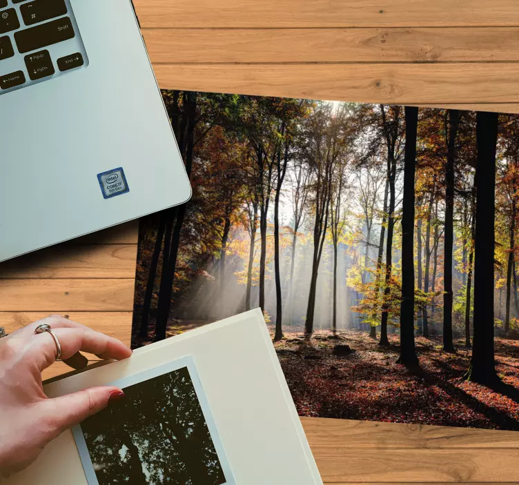 Tappetino mouse originale scena della foresta serene - TenStickers