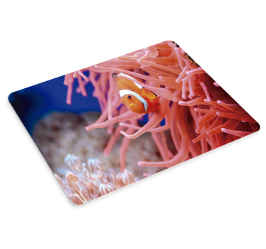Tappetino mouse xxl pesci pagliaccio tra anemoni - TenStickers