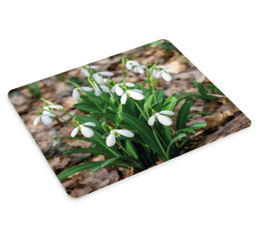 Tappetino mouse originale composizione di galanthus - TenStickers