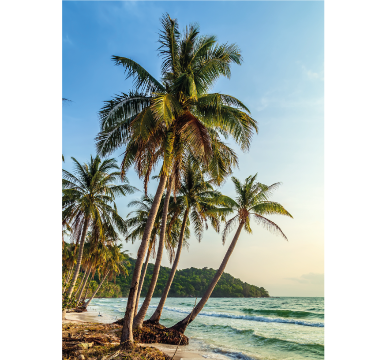 Tenda a rullo bagno palme sulla spiaggia - TenStickers