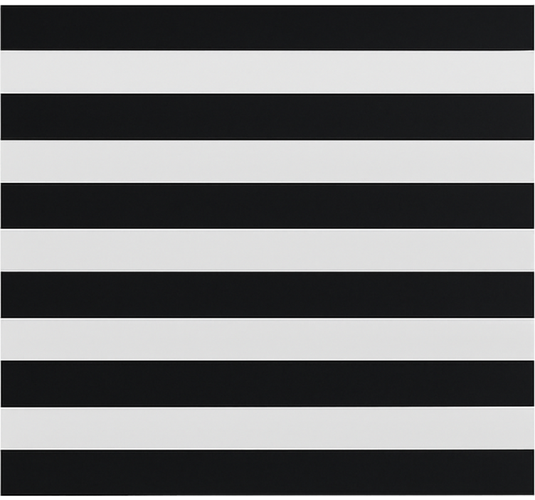 Tenda a rullo sala da pranzo nero e trasparente spogliato - TenStickers