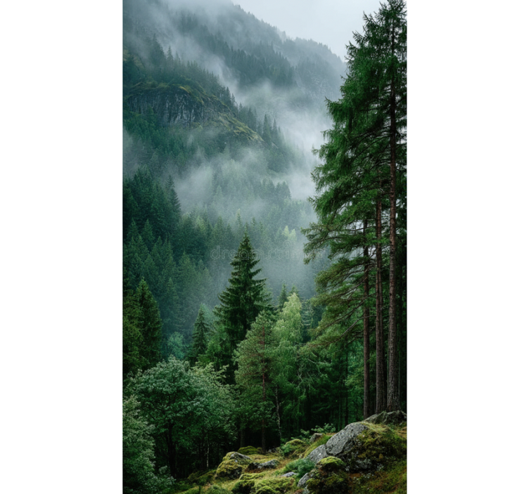 Tenda a rullo alberi la scelta melanconica - TenStickers